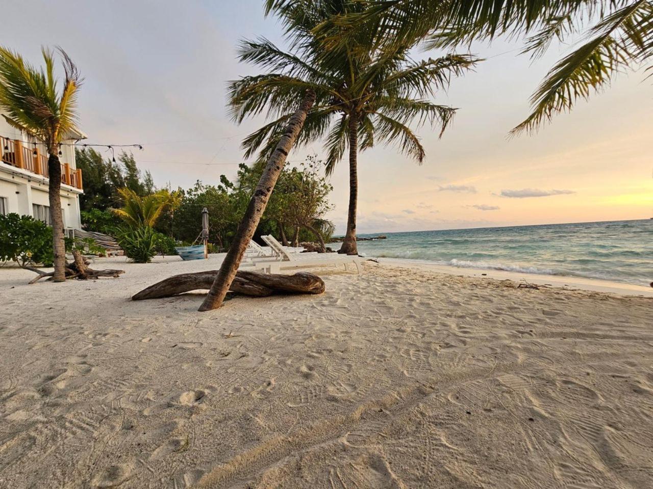 The Sunset Villa Dhiffushi Exterior foto